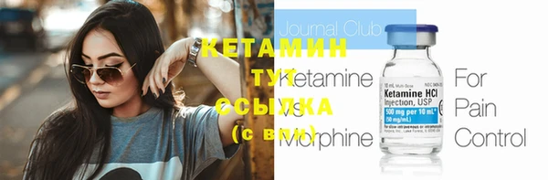 трава Аркадак