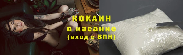 трава Аркадак
