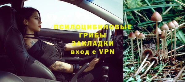 трава Аркадак
