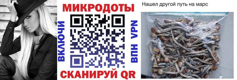 Галлюциногенные грибы Cubensis  Майкоп 