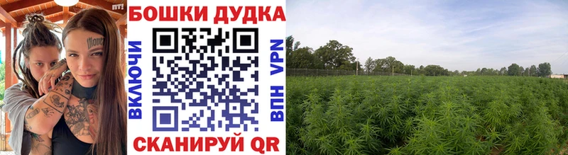 Каннабис марихуана  наркотики  Майкоп 